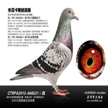 冬日卡隆号直孙521